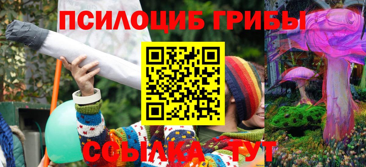 Псилоцибиновые грибы Psilocybe  Вход с VPN  Санкт-Петербург 
