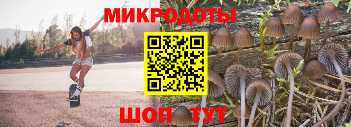 Псилоцибиновые грибы MAGIC MUSHROOMS Санкт-Петербург